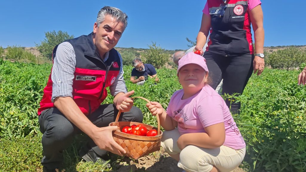Yamanlar Tarla Domatesi üreticilerle Tarla Günü’nde buluştu