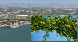 DSİ’den 28 bin 780 dekar araziye modern sulama