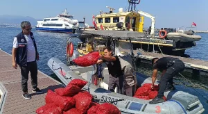İzmir Körfezi’nde gece yarısı operasyonu! 560 kilo canlı midye içi denize iade edildi
