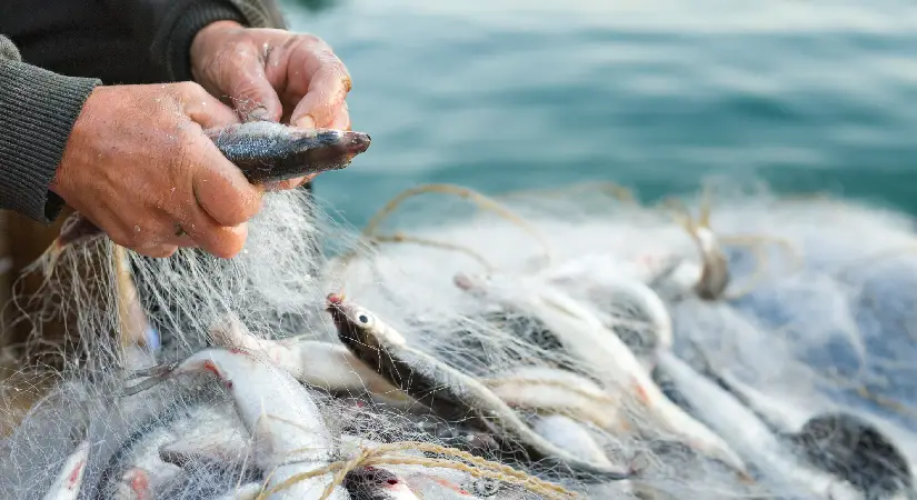 Su ürünleri sektörü İzmir’de Future Fish Eurasia’da buluşacak