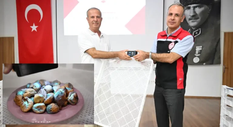 Selçuk’ta incirde aflatoksinle mücadele için ekipman desteği