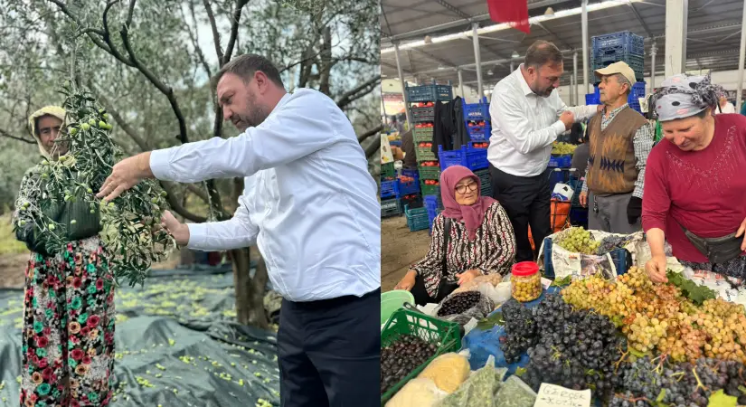 CHP İzmir İl Başkanı Gümrükçü’den zeytin üreticileri için çağrı